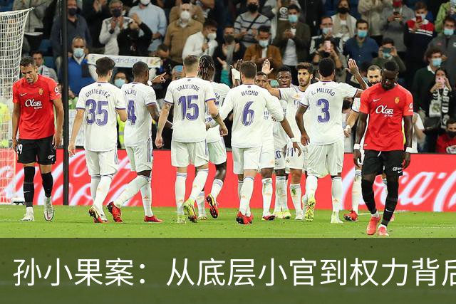 孙小果案：从底层小官到权力背后的操盘手